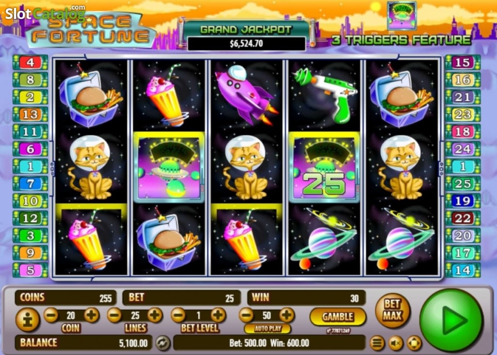 Space Fortune Slot